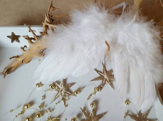 Alt-Text: Das Foto zeigt eine rote Mohnblume im grünen Gras. Das Foto zeigt eine rote Mohnblume im grünen Gras.